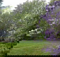 Petersons Armidale Winery  Guesthouse - Accommodation Resorts