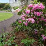 Scottsdale TAS Accommodation Resorts