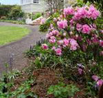 Anabels of Scottsdale - Accommodation Resorts