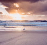 Blue Waters Motel - Accommodation Resorts