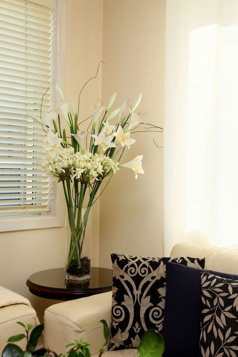 Apartments On The Park - Accommodation Resorts 2