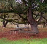 Auburn Shiraz Motel - Accommodation Resorts