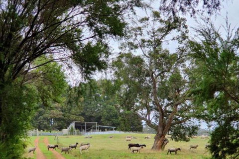 Cinnamon Coloureds Farm Cottages - Accommodation Resorts 7