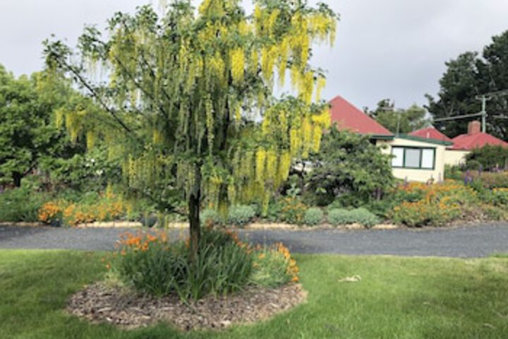 Fentonbury TAS Accommodation Resorts