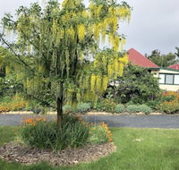 Hamlet Downs Country Accommodation - Accommodation Resorts