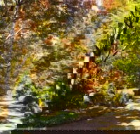 Chalets Lumineux - Accommodation Resorts