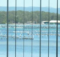 Montgomery Apartments - Accommodation Resorts