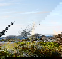 Botanica - Accommodation Resorts