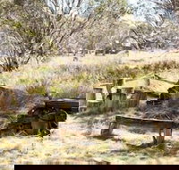 Wrens View - Accommodation Resorts