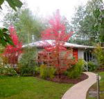 Dalrymples Guest Cottages - Accommodation Resorts