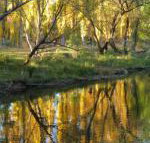 On The Banks - Accommodation Resorts