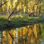 On The Banks - Accommodation Resorts 0