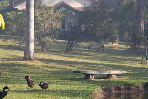 Telegraph Retreat Cottages - Accommodation Resorts 6