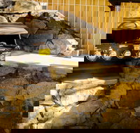 Coral Sea Vista Apartments - Accommodation Resorts