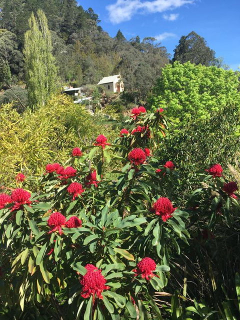 Stringers Cottage - Accommodation Resorts 1