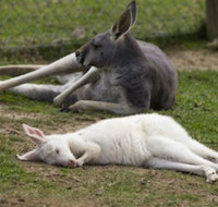 A Twist of Willow - Accommodation Resorts