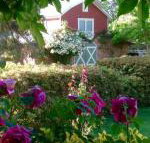 A Country Barn Retreat - Accommodation Resorts