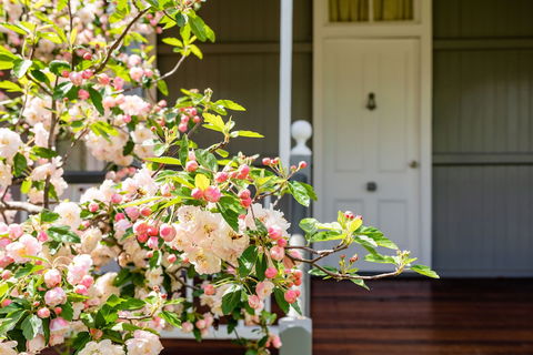 Apple Blossom Cottage - Accommodation Resorts 0