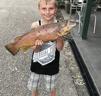 Eildon Pondage Holiday Park - Accommodation Resorts