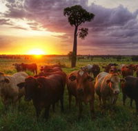 Myella Farm Stay - Accommodation Resorts