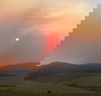 Snowy Mountains Resort and Function Centre - Accommodation Resorts