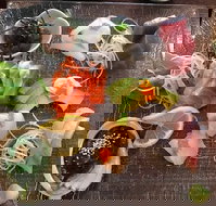 Toshi's Japanese Restaurant - Accommodation Resorts