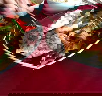 GalanGal - Accommodation Resorts