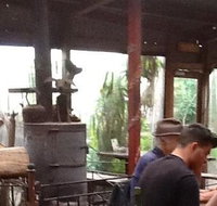 Bodhi Tree - Accommodation Resorts