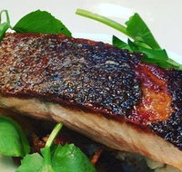 The Shaggy Cow - Accommodation Resorts