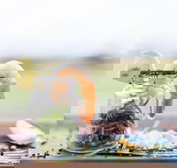 Henry's at The Coast - Accommodation Resorts