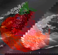 Tapas Tapas Bodega - Accommodation Resorts