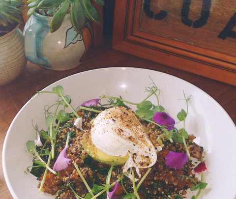 The Shak Organic Cafe & Wine Bar - Accommodation Resorts 0