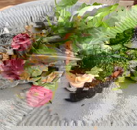 Corner Store Cafe - Accommodation Resorts