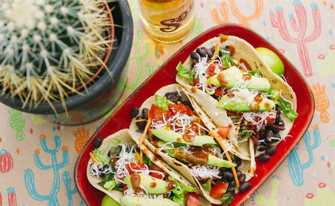 Trippy Taco Fitzroy - Accommodation Resorts 10