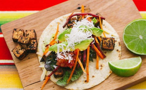 Trippy Taco Fitzroy - Accommodation Resorts 8