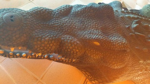 Outback Jack's Bar & Grill - Accommodation Resorts 0