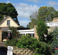 Tipsy Fig - Accommodation Resorts