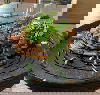 22 Grams Espresso - Accommodation Resorts