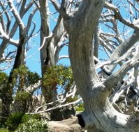 Alpine Eyre - Accommodation Resorts