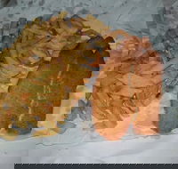 Chipp Inn - Accommodation Resorts