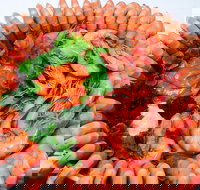 Evans Head Fishermens Co-Op - Accommodation Resorts