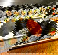 Freewave Sushi  Burgers - Accommodation Resorts