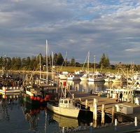 Horse  Camel - Accommodation Resorts