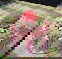 Moruya Ice Cream Parlour - Accommodation Resorts