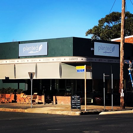 Planted Cootamundra - Accommodation Resorts 0