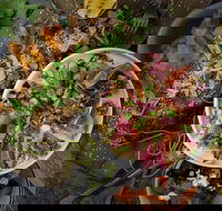 OlleyvilleShaw - Accommodation Resorts