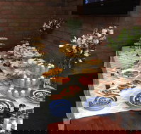 Colony Inn Hotel - Accommodation Resorts