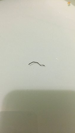 Forde ACT Accommodation Resorts