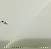 Jimmy's Palace - Accommodation Resorts