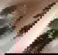 Dai Nam Cafe  Restaurant - Accommodation Resorts